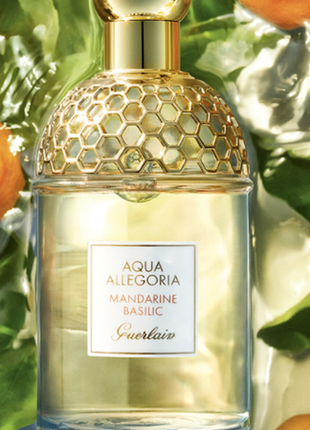 Aqua allegoria mandarine basilic (алегорія мандарин базилік) пробник 5 мл — жіночі парфуми