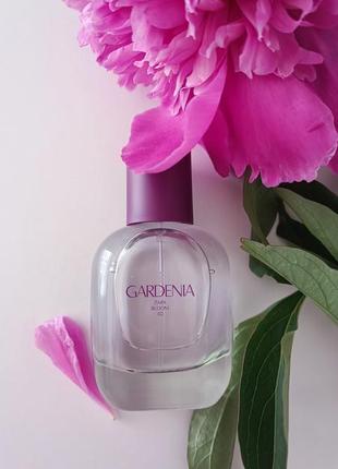 Gardenia zara 30ml1 фото