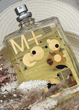 Escentric molecules molecule 01 + patchouli (молекула 01 пачулі) 50 мл — унісекс парфуми (пробник)