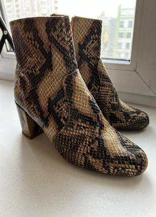 Чобітки зміїні на підборах