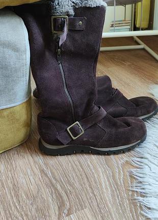 Замшевые сапоги skechers