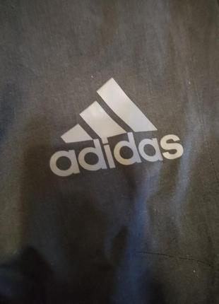 Спортивні штани adidas10 фото