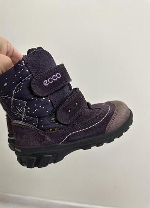 Черевики ecco