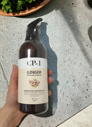 Шампунь відновлюючий esthetic house cp-1 ginger purifying shampoo