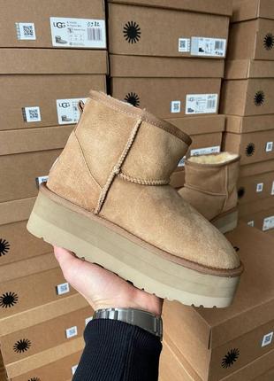 Женские угги ugg mini platform chestnut