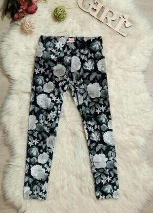 Бархатные лосины