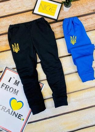 Распродажа! спортивные штаны, патриотика, штаны с трезубом