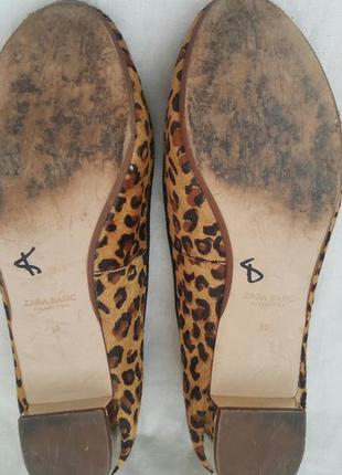 Туфлі zara basic р. 385 фото