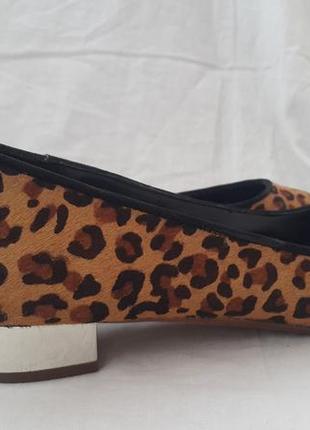 Туфлі zara basic р. 387 фото