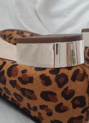 Туфлі zara basic р. 388 фото
