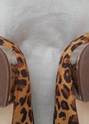 Туфлі zara basic р. 389 фото