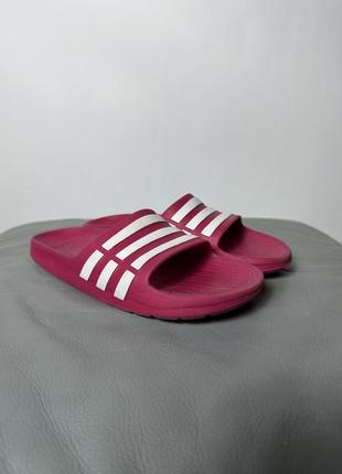 Тапочки adidas1 фото