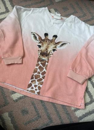 Свитшот h&amp;m