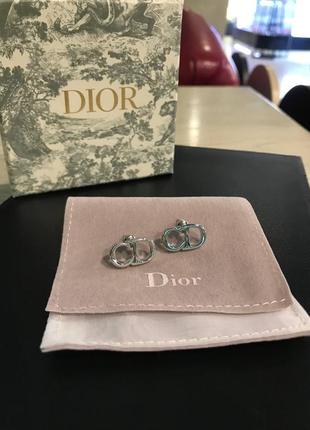 Брендовые гвоздички dior в серебре