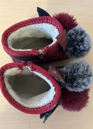 Угги зимние, сапожки зимние, короткие угги, ugg2 фото