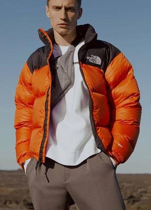 Зимовий пуховик tnf // куртка tnf + холлофайбер