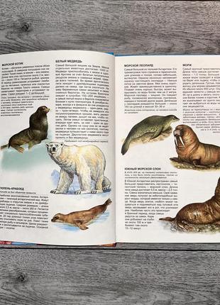 Иллюстрированная энциклопедия животных
