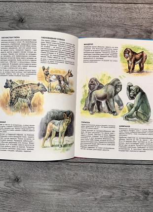 Иллюстрированная энциклопедия животных