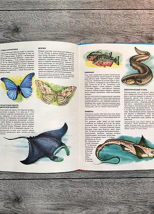 Иллюстрированная энциклопедия животных