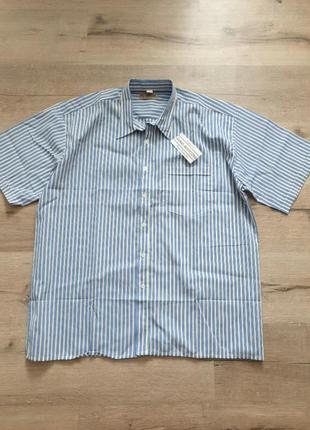 Сорочка чоловіча короткий рукав великий розмір