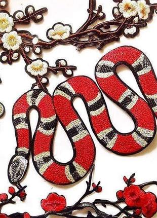 Gucci патч нашивка королевская змея Gucci, цена — 80 грн, #33685361, купить  по доступной цене | Украина — Шафа