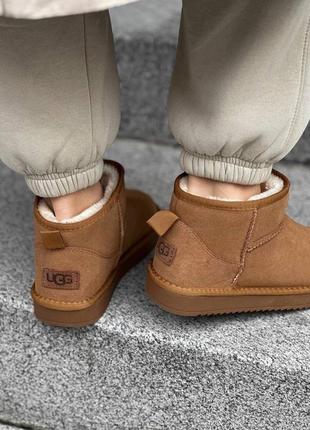 Ugg ultra mini camel2 фото