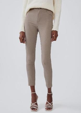 Легінси zara