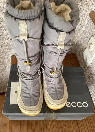 Зимові чоботи ecco
