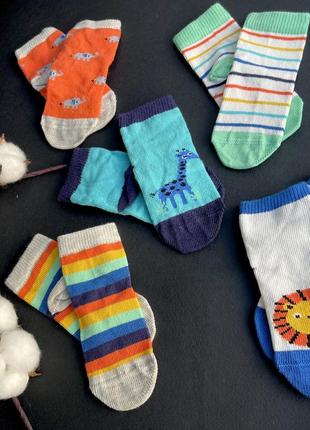 Шкарпетки для малюків 6-12 міс