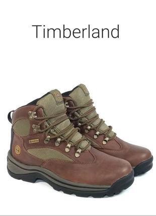 Кожаные трекинговые ботинки timberland chocorua оригинал1 фото