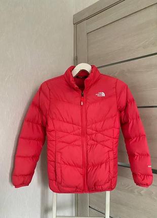 Жіночий пуховик The North Face Face M