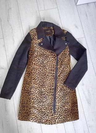 Пальто принт лео