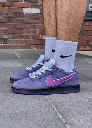 Кросівки nike sb dunk low concepts purple lobster