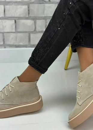 Женские стильные  ботинки замш шнуровка цвет бежевый размер 38 (24,5 см) (50253)