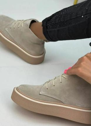 Женские стильные  ботинки замш шнуровка цвет бежевый размер 40 (26 см) (50253)7 фото