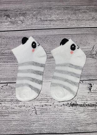 Носочки панда, милі шкарпетки,  носки1 фото