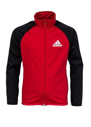 Спортивная кофта свитшот мастерка бомбер олимпийка adidas1 фото