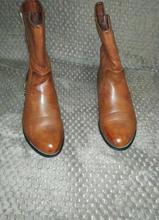 Сапоги