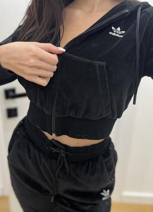 Велюровый костюм adidas