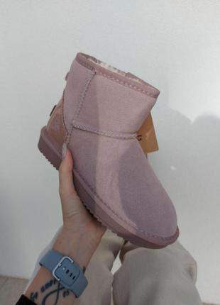 Жіночі черевики ugg уггі