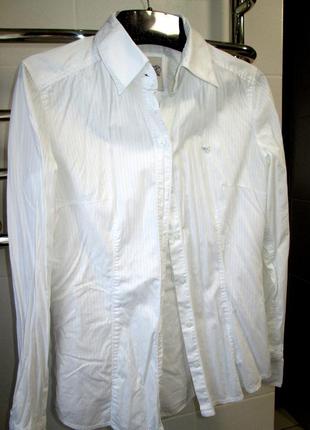 Белоснежная рубашка/строгая блуза/кофта esprit