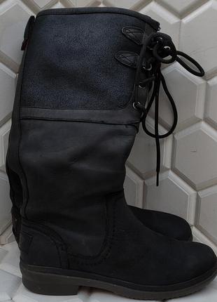 Сапоги, ботинки женские ugg, p361 фото
