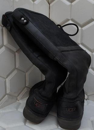 Сапоги, ботинки женские ugg, p363 фото