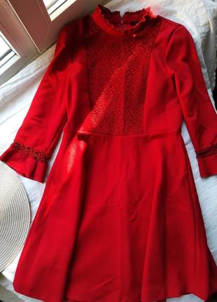 Червона сукня з гіпюром zara basic5 фото