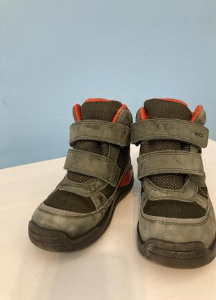 Детские зимние сапоги ecco