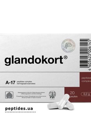 Гландокорт / glandokort 60 капсул, пептиды эндокринной системы