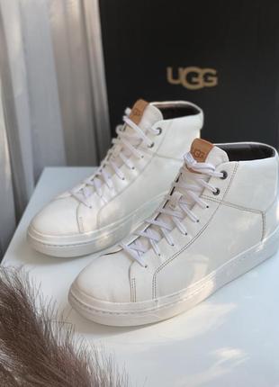 Кеди ugg