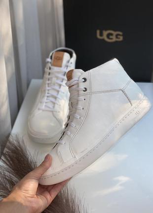 Кеди ugg2 фото