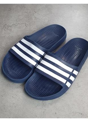 Шлепанцы adidas1 фото