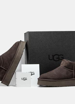 Угги ugg ultra mini platform угги на поатформе натуральная овчина